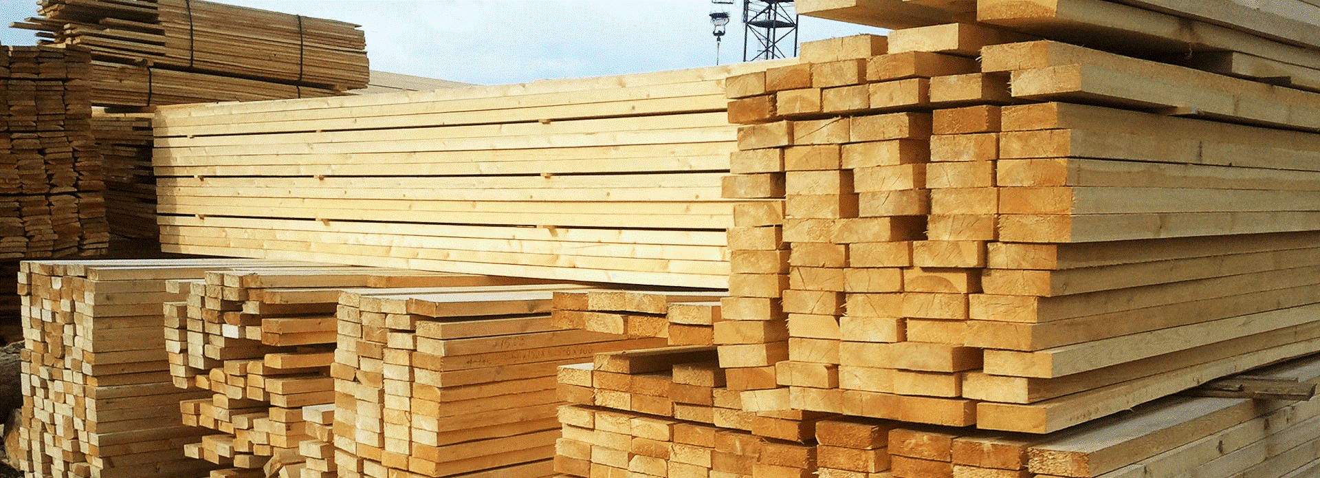 Дефицит древесины  — проблема для транспорта и логистики поддонов